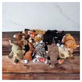 Beanie Baby collection