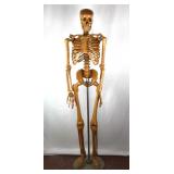 Lot # : 8 - Vintage Wood Anatomical Skeleton