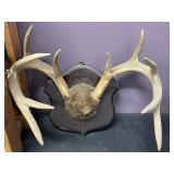 RACK MOUNT