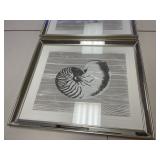 SHELL FRAMED PRINT