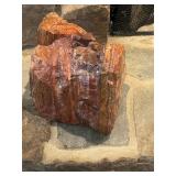 Petrified Wood Decor 