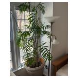 Indoor/Outdoor Planter and Plants 