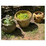 Outdoor Planters and Plants 