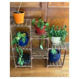 Indoor/Outdoor Planter and Plants 
