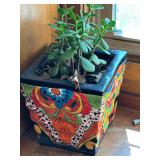 Indoor/Outdoor Planter and Plants 