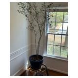 Indoor/Outdoor Planter and Plants 