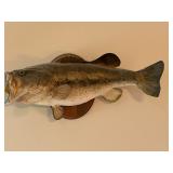 Largemouth Bass Mount