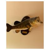 Largemouth Bass Mount