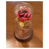 Rose in Glass Dome w/ LED Lights