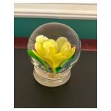 Stunning Art Glass Paperweight Collection 