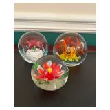 Stunning Art Glass Paperweight Collection 