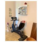 Nordictrack Recumbent Bike