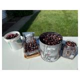 Collection of Buckeyes