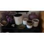 FILL A BAG DEALS + 50% OFF Mesa Estate Sale