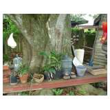 plants and yard decorations