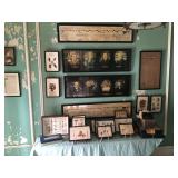 Pharmacy pictures and specimen boxes