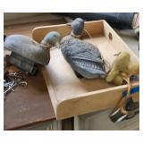 Decoys