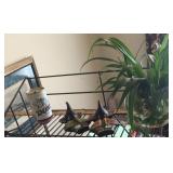 Airplane plants