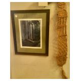 Photos