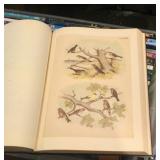 Pictures from bird book