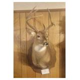Deer mount