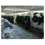 lots of christmass garland