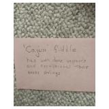 Cajun fiddle info card