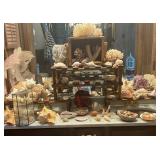 Sea shells and coral