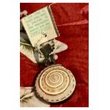 Shell in silver bezel