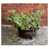 Wash pot planter
