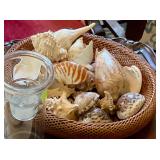Sea shells