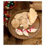 Sea shells