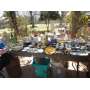 The beautiful estate of Cynthia Burnside 