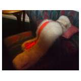 fox wrap