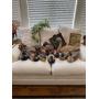Tastefully Eclectic Antiques & Man Cave Fusion in Hemet!!!