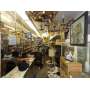 ANTIQUE/HOBBY STORE LIQUIDATION