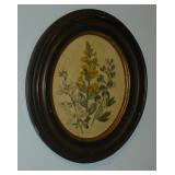 Framed vintage botanical