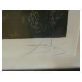 Dali Signature