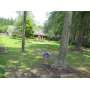 ESTATE AUCTION - EVANS COUNTY, GA - INCLUDES TWO LOCATIONS.....