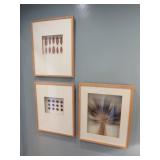 PURE NATURAL DRIED ART FRAMED UNDER GLASS