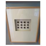 PURE NATURAL DRIED STICKY BALLS FRAMED UNDER GLASS