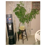 Water Cooler Stool Artificial Plant
