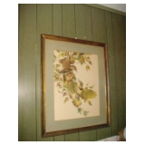 Picture of Birds by E. Paxton Oliver
