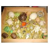 Miniature Turtle Collection