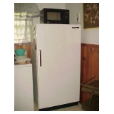 Freezer & Microwave
