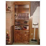 Bookcase & books