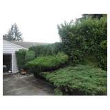 Edmonds Estate Sale 50 Years