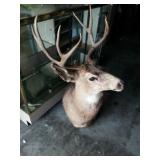 Action Auctions Fishing-Hunting- Knives-Tools- Reloading and More Auction 