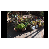 Estate Sale Estate Sale 3/28 Sun 9am-4pm SUNDAY SALE DAY 50% OFF