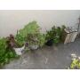 Estate Sale San Jose 2/28 SUNDAY SALE DAY